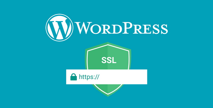 WordPress网站使用SSL的原因是什么？-下载群