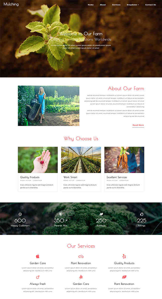 简洁农场种植企业网站模板1105-网页模板企业网站农场-下载群