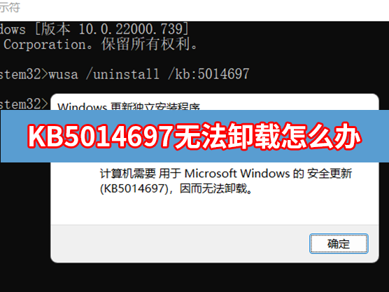 KB5014697无法卸载 Win11 KB5014697更新无法卸载怎么办？-下载群