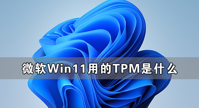 微软Win11用的TPM到底是什么 有关TPM详细解答-下载群