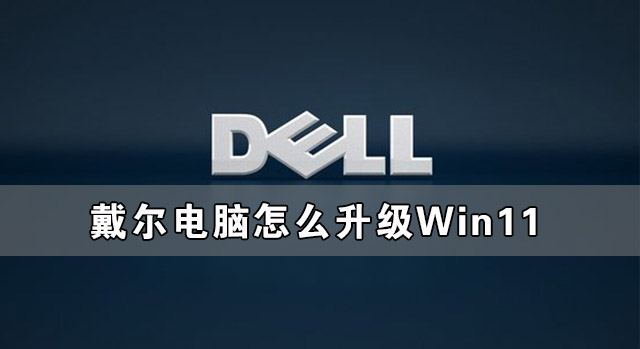 戴尔电脑怎么升级Win11 戴尔电脑升级Win11系统教程-下载群
