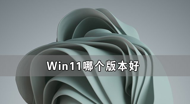Win11哪个版本好 Win11哪个版本的系统最好-下载群