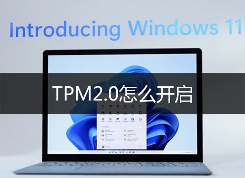 intel和AMD平台怎么开启TPM2.0 Win11开启TPM2.0教程-下载群